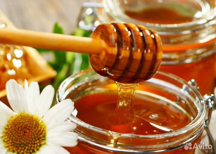 Майский натуральный мёд в сотах