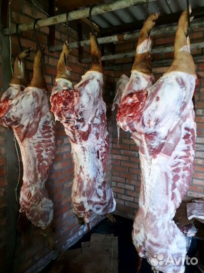 Домашнее мясо - свинина