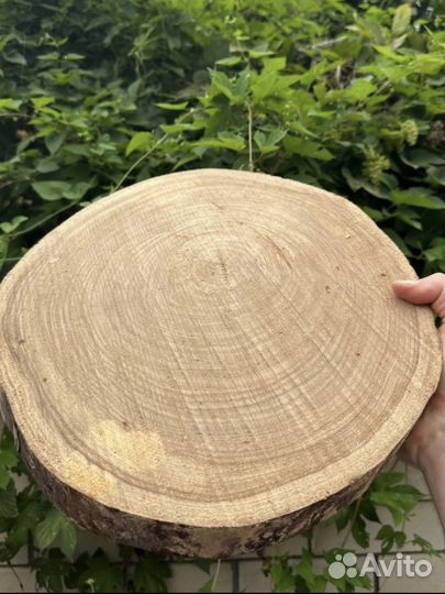 Сухие ровные торцевые спилы слэбы дуб карагач лофт