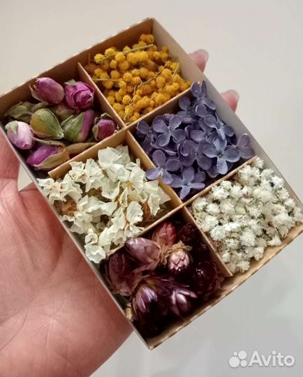 Сухоцветы для творчества