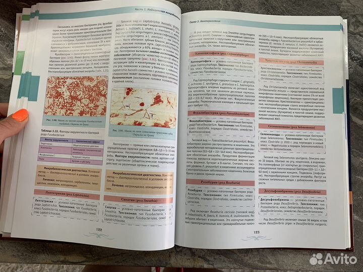 Атлас руководство иммунология