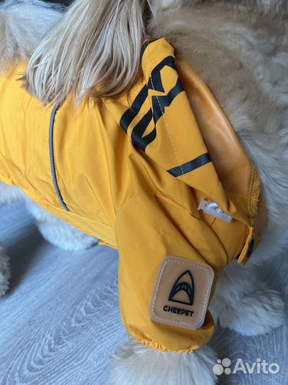 Дождевик для мелких собак