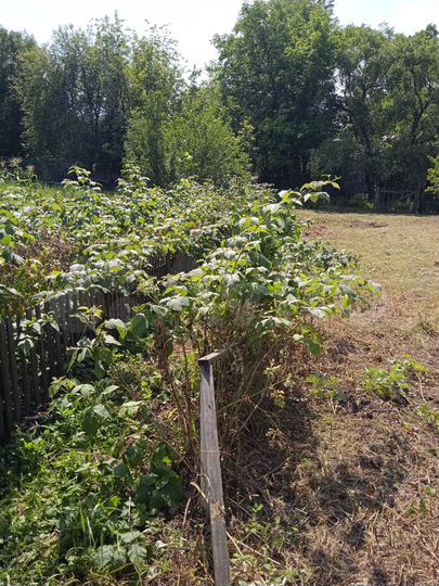 Дача 20 м² на участке 6 сот.