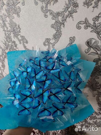 Букет из бабочек