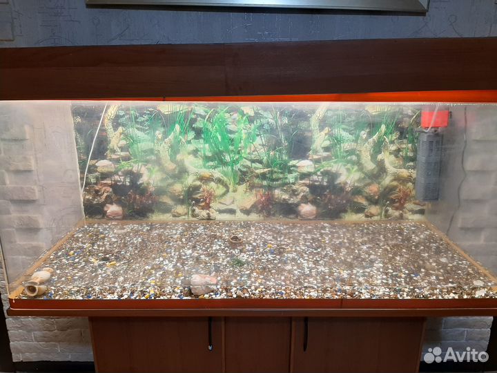 Аквариум