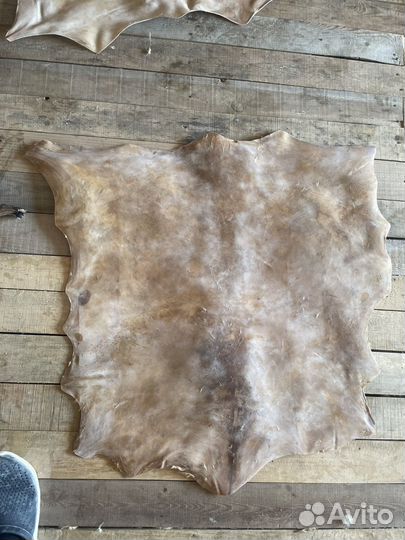Кожа козы для бубна