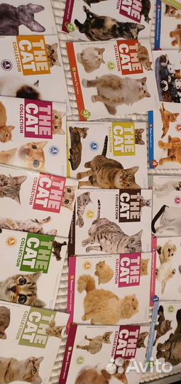 Коллекия журналов 46шт журнал про кошек котов