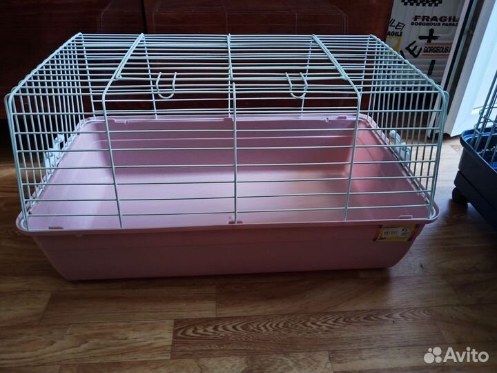 Продам шиншиллы с клеткой