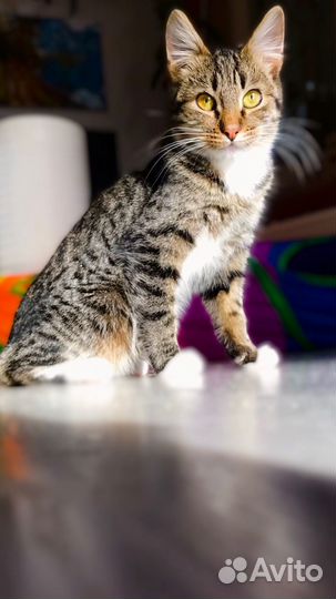 Выкинули на холод