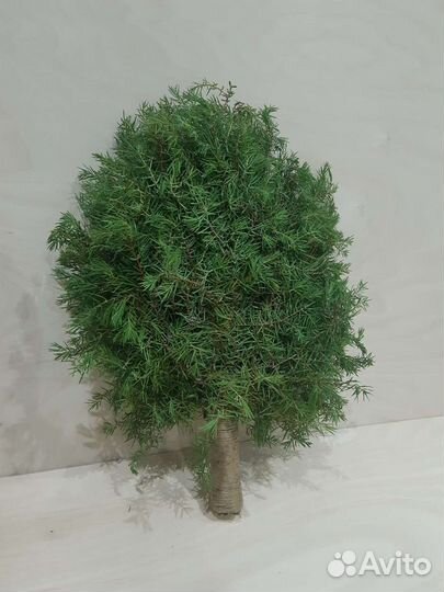 Веники для бани,травы