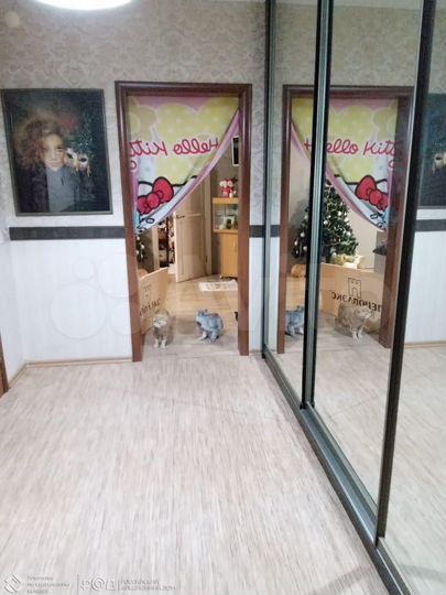 4-к. квартира, 127,4 м², 2/2 эт.