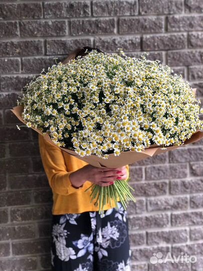 Букет ромашек доставка цветов