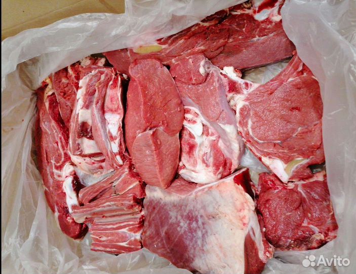 Мясо Говядина