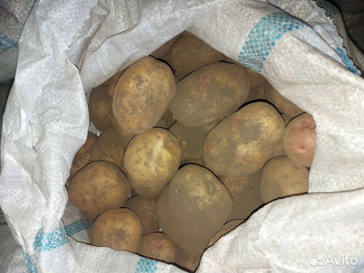 Картофель деревенский