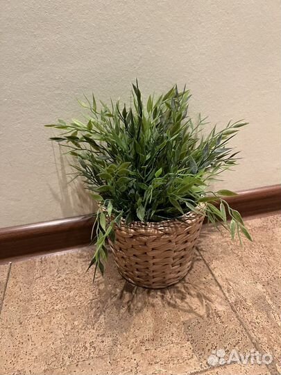 Цвкты в горщках IKEA (икея)