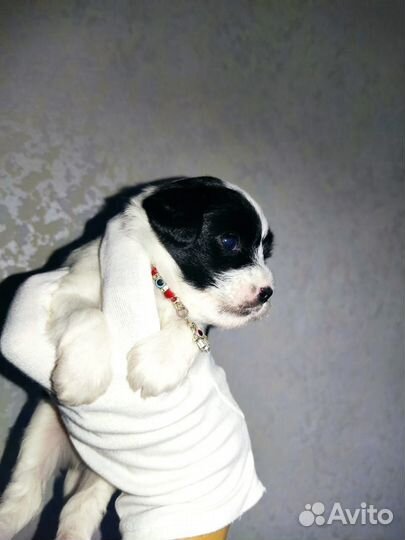 Шикарная пуховая Принцесса девочка кхс