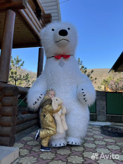 Большой белый мишка / день рождения / аниматор