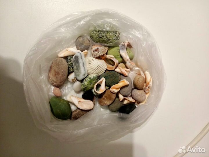 Морские камушки и ракушки