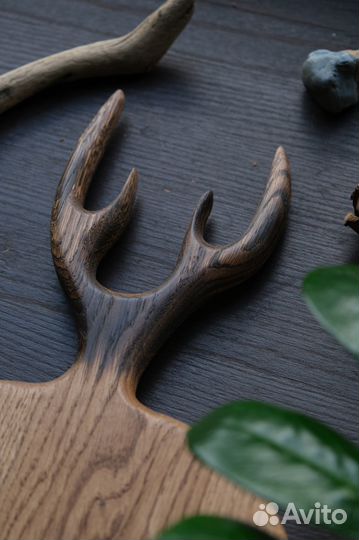 Рогатая доска из дуба