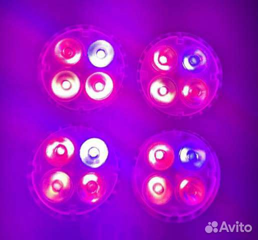 Новые Led лампы 26W Sprout