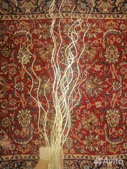 Ивовые ветки