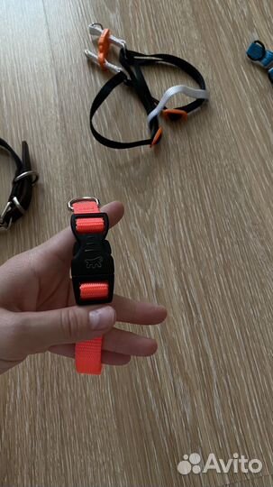 Поводок, рулетка, шлейка, ошейник