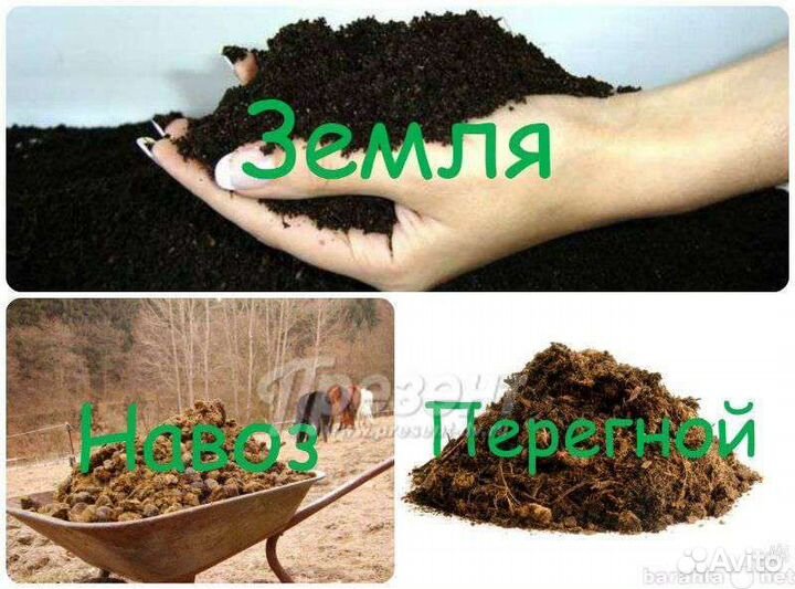 Перегной Навоз Земля