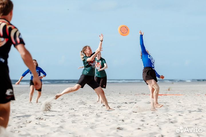 Алтимат фрисби