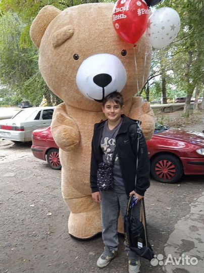 Белый Мишка, Ушастик, Мишка Тедди. (Поздравление)