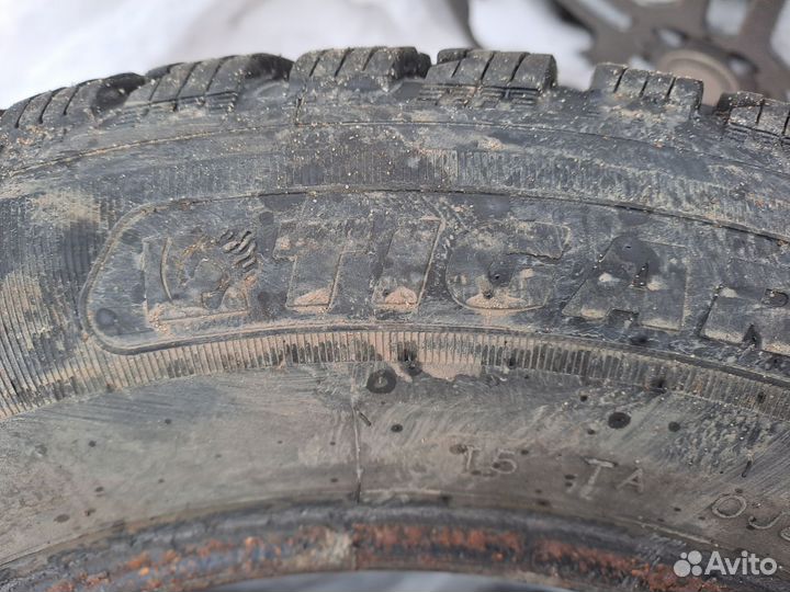 Tigar Ice 165/65 R15