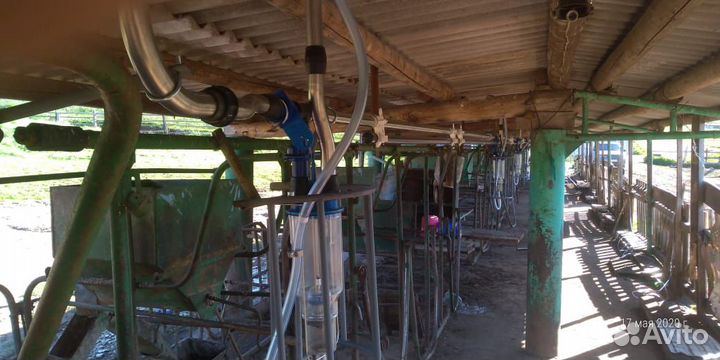 Молокопроводы, стойло, поение для крс