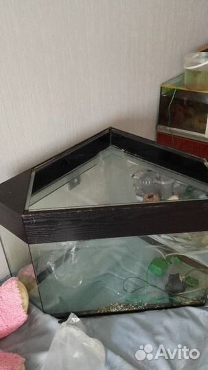 Аквариум