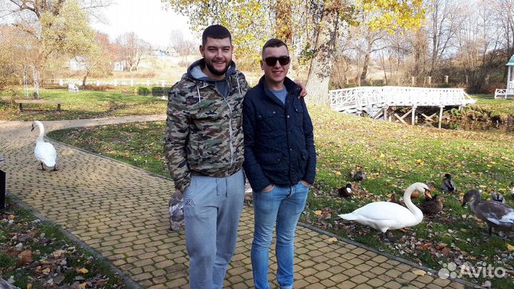 Портрет в стиле симпсонов