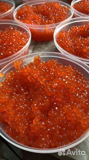 Икра красная кеты