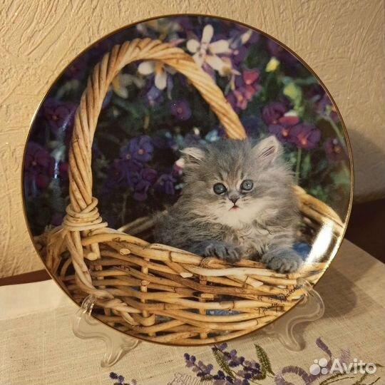 Коллекционные тарелочки с котятами. Стоимость 1400