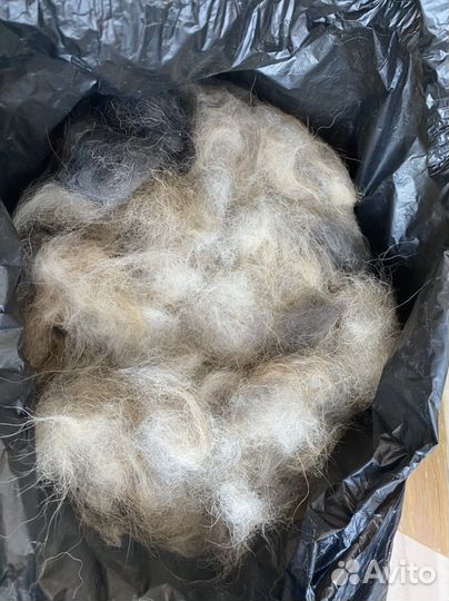 Собачий пух и шерсть