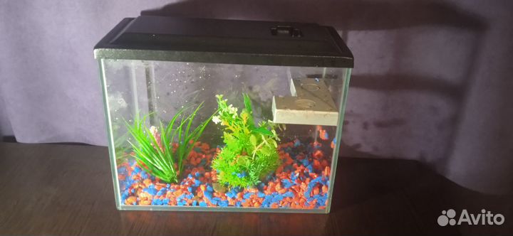 Аквариум 12 литров б/у