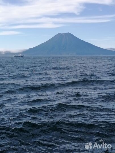 Работа вахтой на море