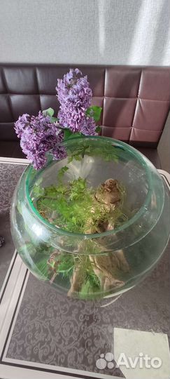 Аквариум с рыбками