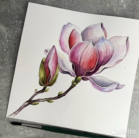 Картина акварелью магнолия