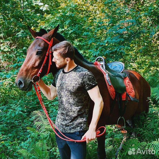 Прогулка на лошадях