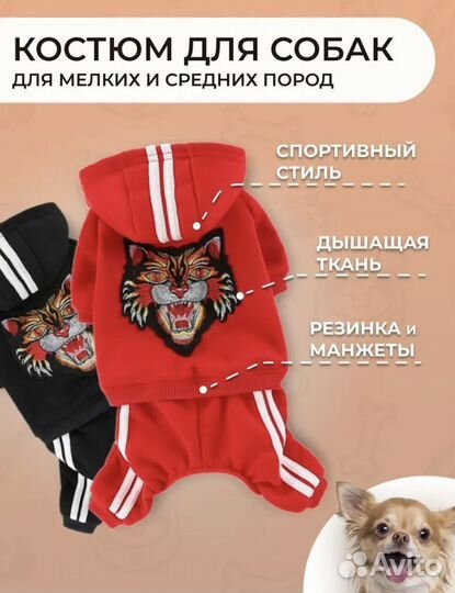 Одежда для собак