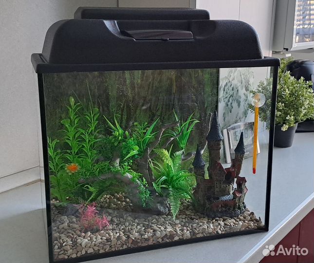 Аквариум