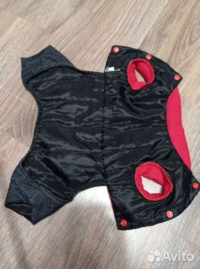 Костюмчик для маленькой собачки