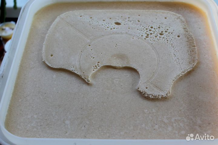 Мёд донник опт