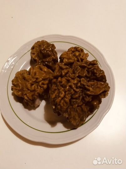 Грибы сморчки и строчки