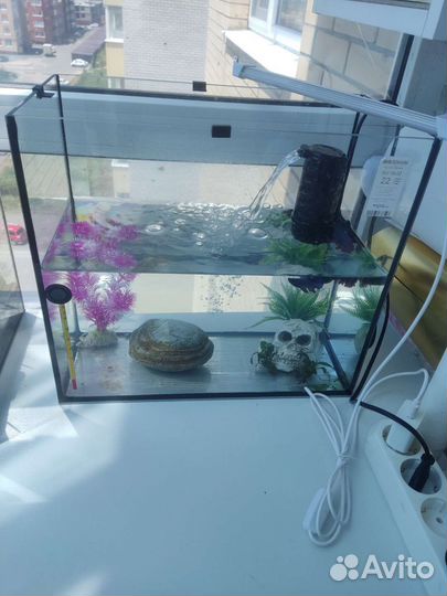 Аквариум + фильтр