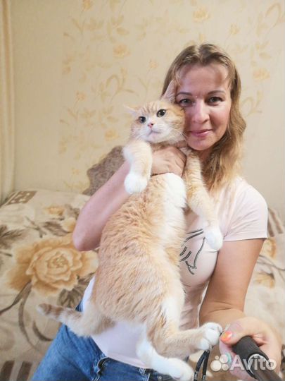 Зооняня, уход за животными на вашей территории