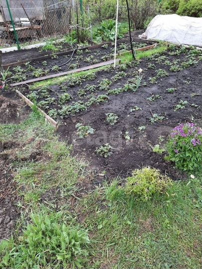 Дача 40 м² на участке 4 сот.