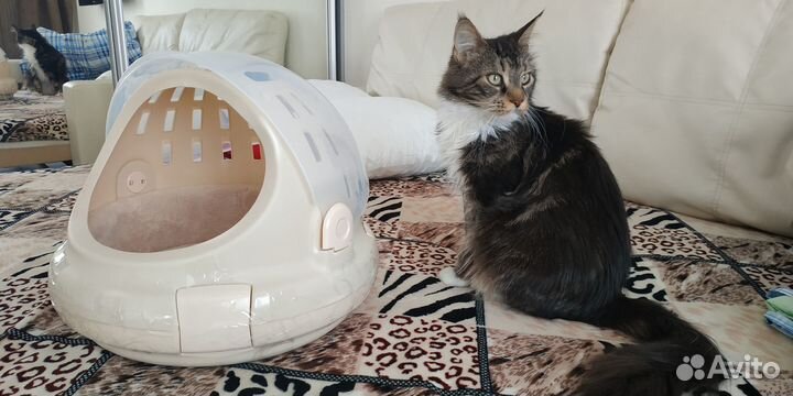 Переноска для кошек пластиковая